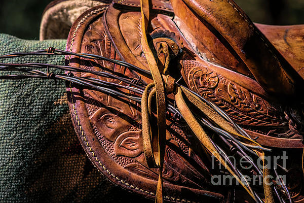 Been Out Fixin Fence by Jon Burch Photography Been Out Fixin Fence by Jon Burch Photography