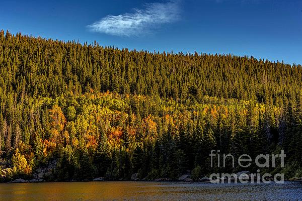 Early Morning Sunlight on Fall Leaves by Jon Burch Photography Early Morning Sunlight on Fall Leaves by Jon Burch Photography