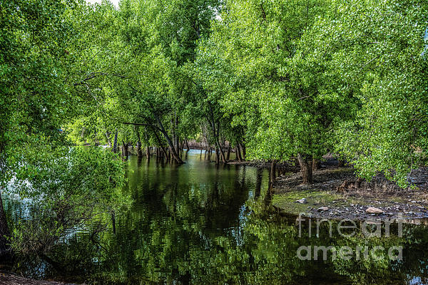 Evening At The Lake by Jon Burch Photography Evening At The Lake by Jon Burch Photography