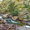 Cache La Poudre Canyon Rapids